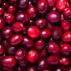 Cranberry Seed Oil  Extra Virgin