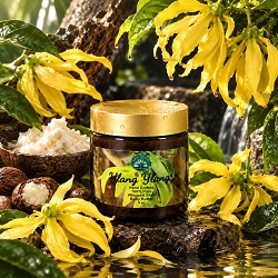 Ylang Ylang Whipped Body Butter BULK